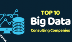 Top 10 Big Data Consulting Services Companies | Hire Big Data Analytics Developers in India & USA